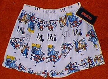 Canadian Boxer Shorts #4