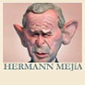 Hermann Mejia Website